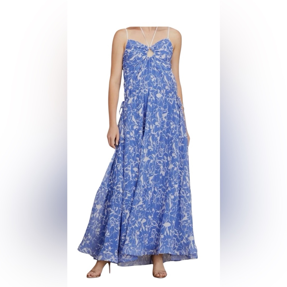 Jonathan Simkhai Blue Floral Maxi Dress